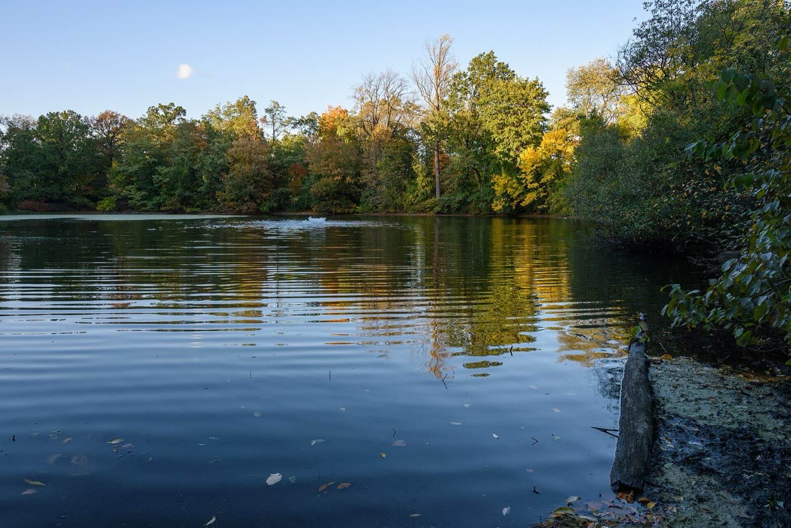 Twin Lakes, New York Botanical Garden, The Bronx, New York City.